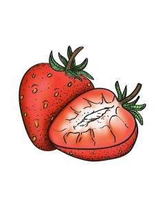 Aardbei sorbetijs