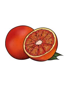 Bloedsinaasappel sorbetijs