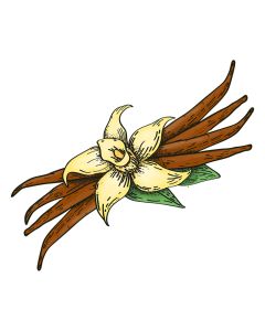 Bourbon Vanille extra (extra stokje vanille)