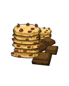 Chocolade special (chocolade bomvol met koekjes en saus)