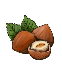 Hazelnoot (I.G.P. keurmerk uit Piëmont)