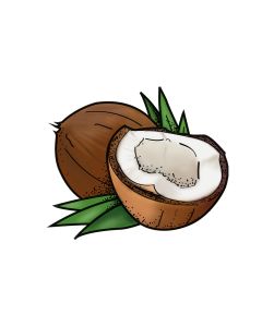 Kokos