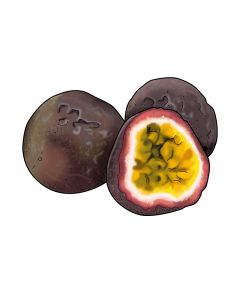 Passievrucht sorbetijs