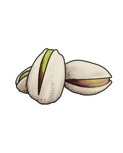 Pistache