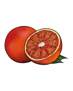 Rode grapefruit sorbetijs