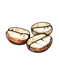 Witte koffie met vleugje vanille en tonkabonen