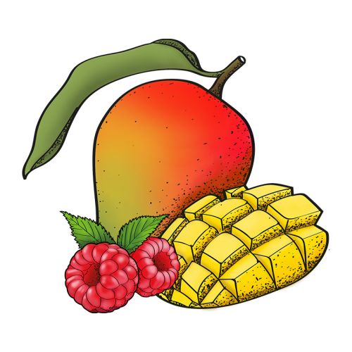 Mango gemarmerd met stukjes framboos sorbetijs