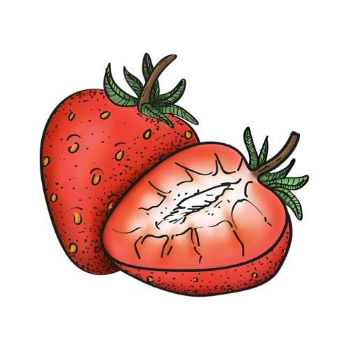 Aardbei sorbetijs