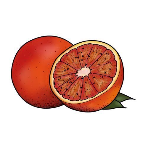 Bloedsinaasappel sorbetijs