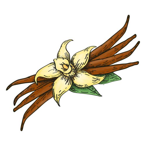 Bourbon Vanille extra (extra stokje vanille)