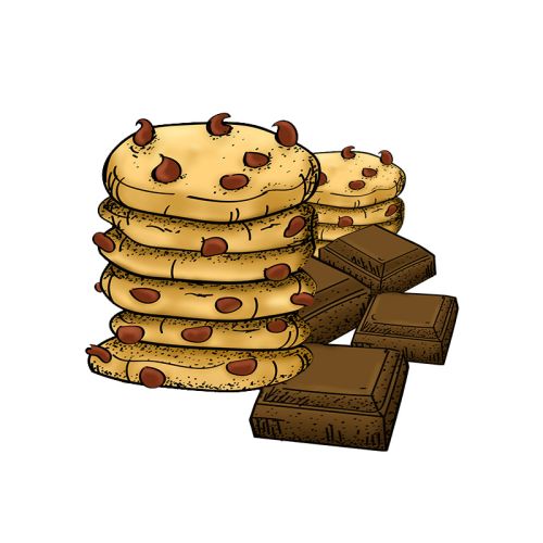 Chocolade special (chocolade bomvol met koekjes en saus)