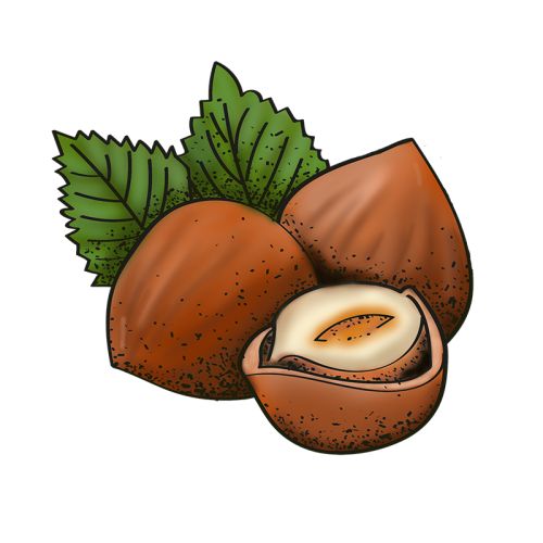 Hazelnoot (I.G.P. keurmerk uit Piëmont)