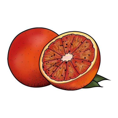 Rode grapefruit sorbetijs